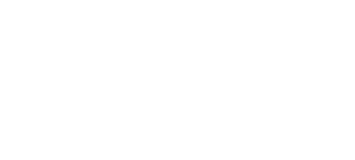 Hausis Drehörgeli